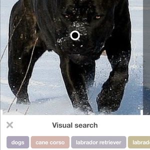 Meet your Posher, Mark